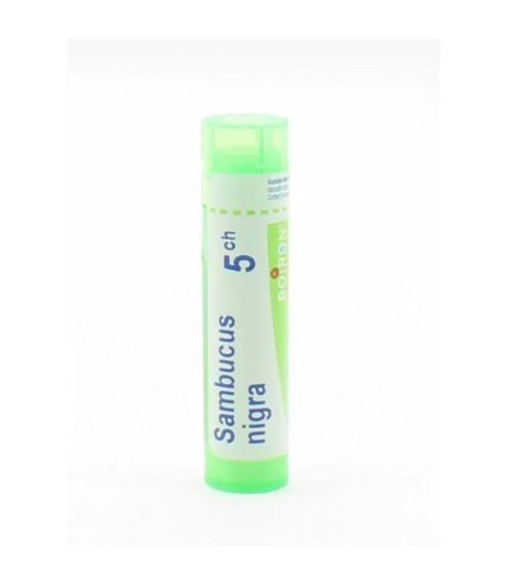 SAMBUCUS NIGRA*5CH 80GR 4G