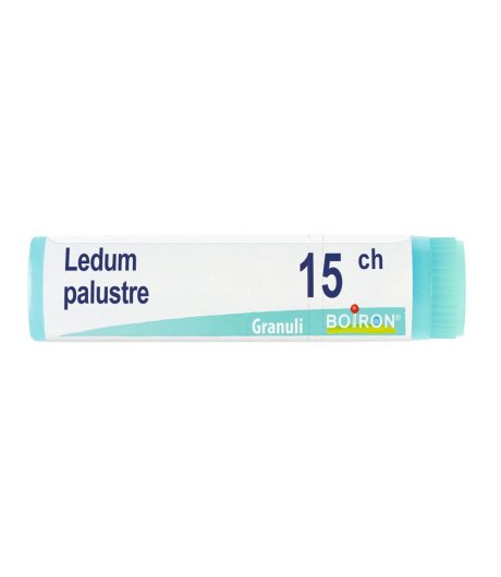 LEDUM PALUSTRE 15CH GL LEDUM PALUSTRE 15CH GL