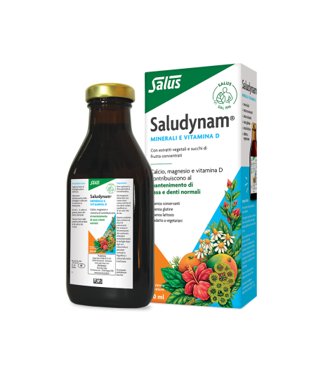 SALUDYNAM 250ML