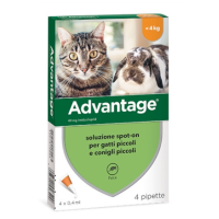 ADVANTAGE ANTIPARASSITARIO PER GATTI E CONIGLI PICCOLI 4 PIPETTE