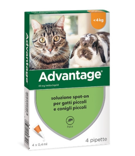 ADVANTAGE ANTIPARASSITARIO PER GATTI E CONIGLI PICCOLI 4 PIPETTE