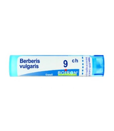 BERBERIS VULGARIS 9CH 80GR 4G BOIRON