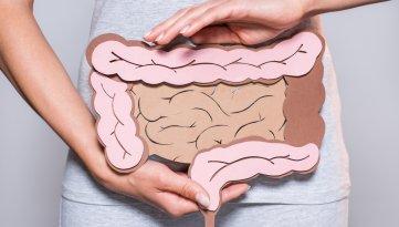Intestino in Armonia: il ruolo dei Fermenti e di Isypan