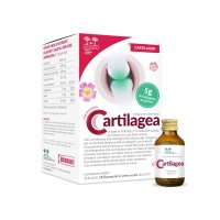 Salugea Cartilagea Integratore per le cartilagini 18 flaconcini