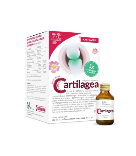 Salugea Cartilagea Integratore per le cartilagini 18 flaconcini