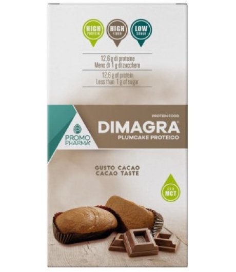 Dimagra Plumcake Cioccolato