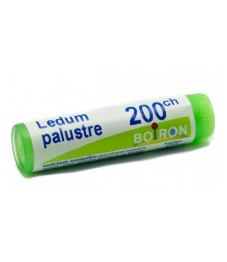 Ledum Palustre 200ch Gl Rimedio Omeopatico Boiron