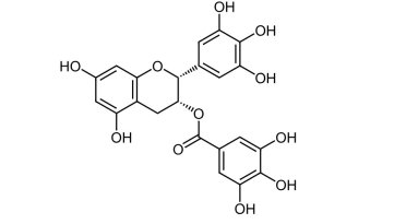 EGCG: una molecola naturale per il metabolismo con solide evidenze scientifiche