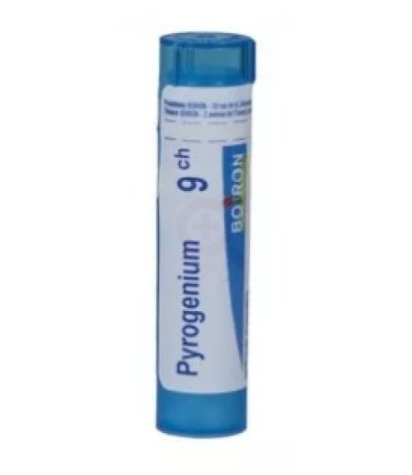 PYROGENIUM 9CH GRANULI Boiron