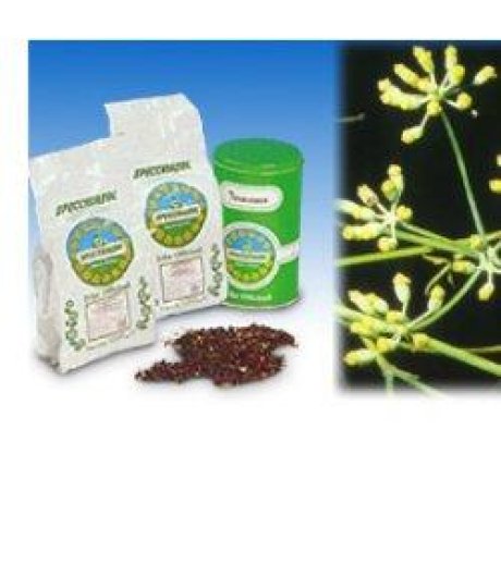 FINOCCHIO DOLCE TT 1000G