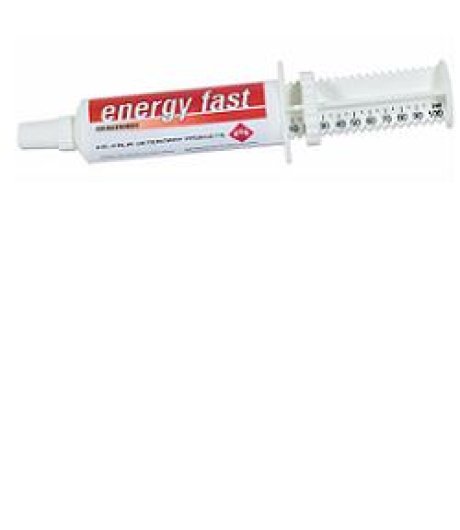 ENERGY FAST EQUINI SOSPENSIONE ORALE 1 SIRINGA 80GR - FM ITALIA