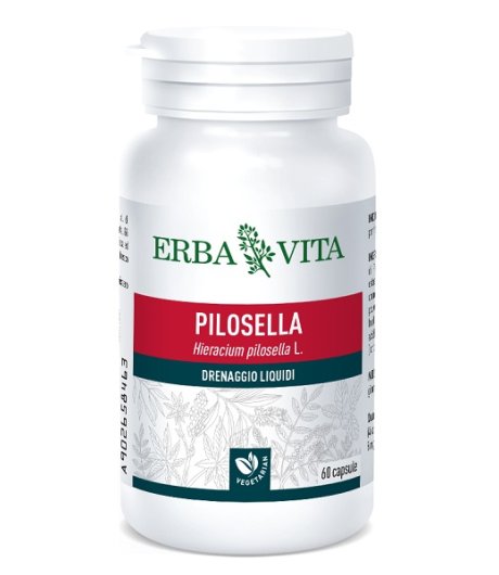 PILOSELLA 60CPS 400MG EBV<