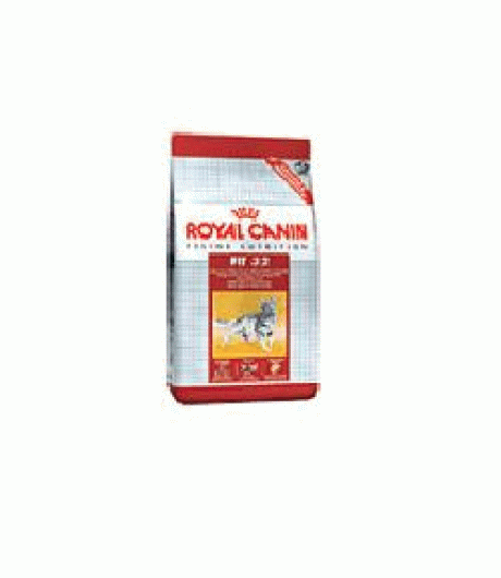 ROYAL CANIN GATTO REGULAR FIT32 400GR