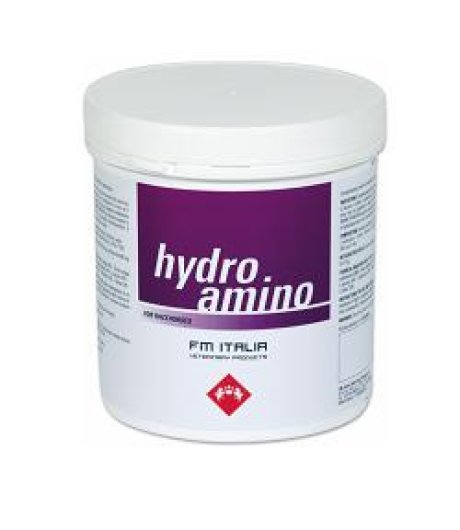 HYDRO AMINO POWDER OS 600GR - FM ITALIA HYDRO AMINO POWDER OS 600GR - FM ITALIA