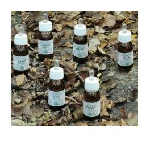 ZEABEL OLIO MASS 50ML