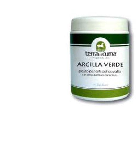 ARGILLA VERDE EQUINI PASTA 1KG - TDC