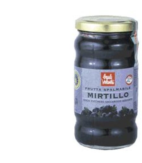 FRUTTA SPALMAB MIRTILLO 280G