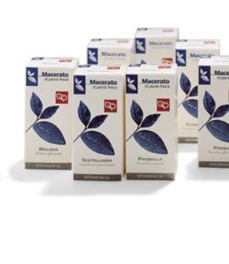 EPILOBIO MI  50ML (FP)
