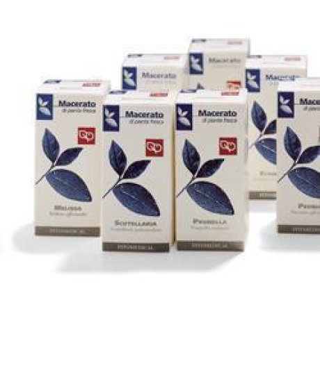 VALERIANA ROSSA TM 50ML VALERIANA ROSSA TM 50ML