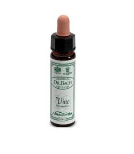 VINE 10ML AINSWORTHS