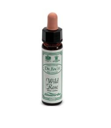 WILD ROSE 10ML AINSWORTHS