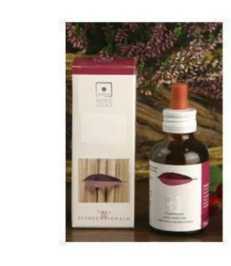 SEQUOIA GIGANTEA 50ML STV