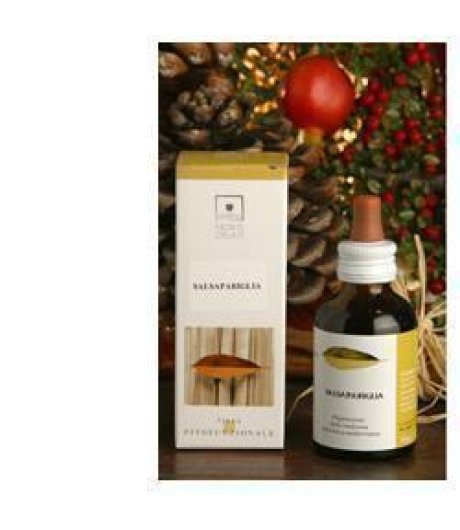 EQUISETO BIO TM 50ML STV