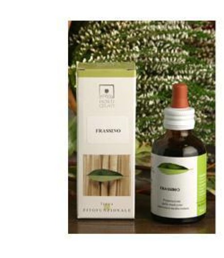 GINKGO BIO TM 50ML STV