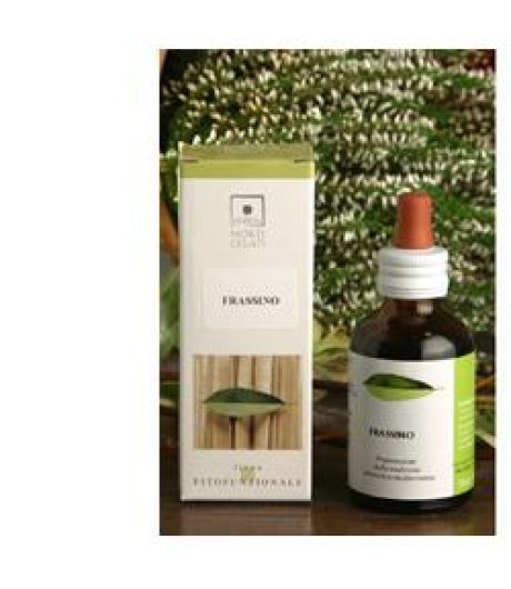 PARTENIO TM 50ML STV