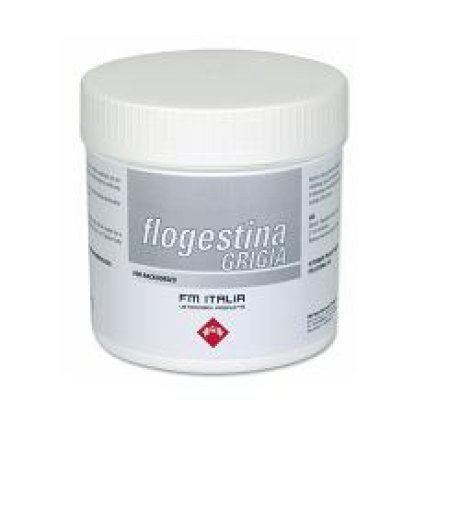 FLOGESTINA GRIGIA EQUINI PASTA BARATTOLO 1000GR - FM ITALIA