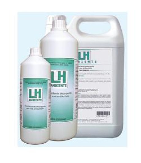 LH AMBIENTE DISINF 1L