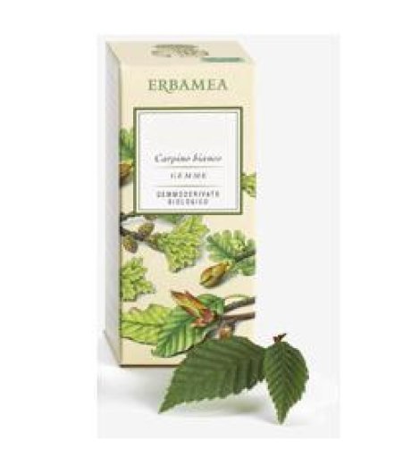 AESCULUS HIPPOC GEMME GD 50ML