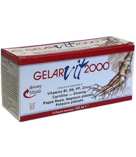 GELARVIT*2000 12fl.10ml