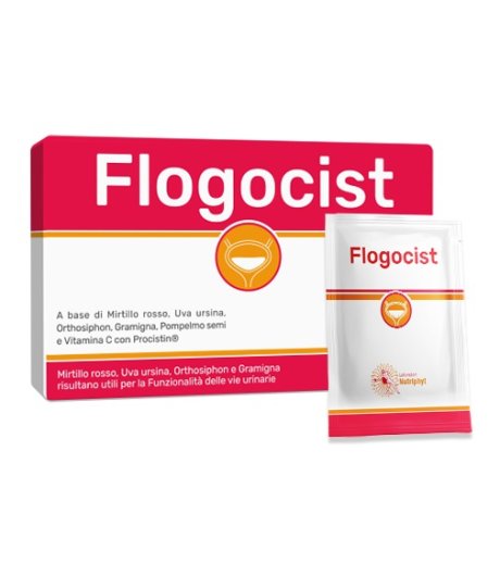 Flogocist 10bust