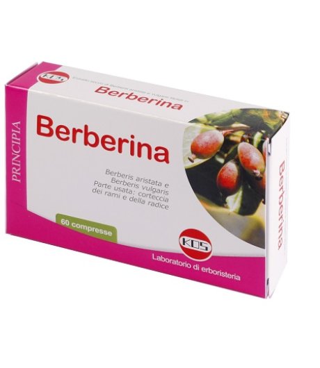 Berberina Estratto Secco 60cpr