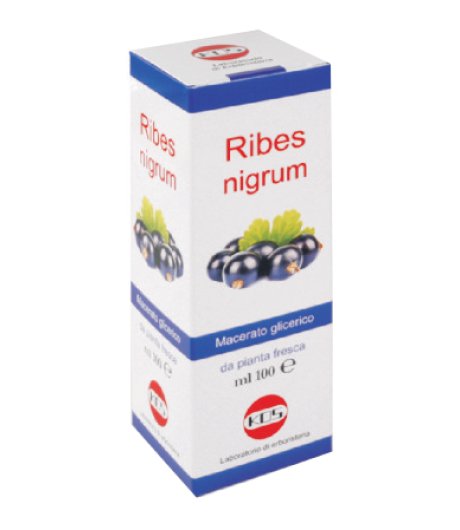 Ribes Nigrum Mg 100ml Gtt