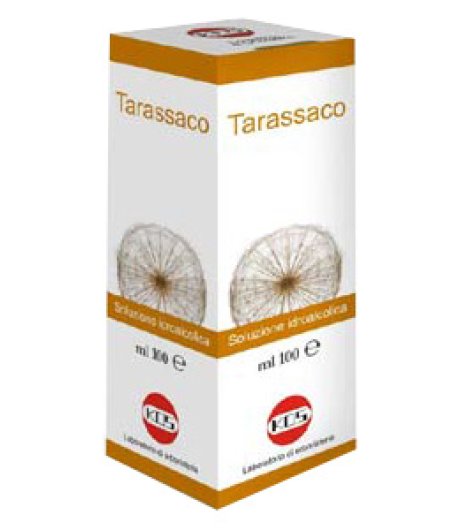 TARASSACO SOL IAL PIANTA FR100