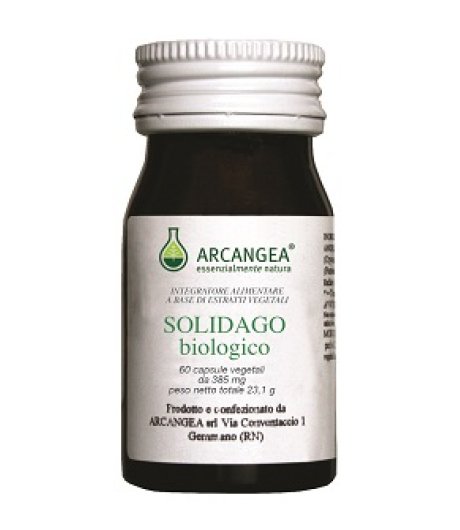 SOLIDAGO BIO 60CPS