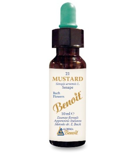 BENOIT FIORI DI BACH MUSTARD