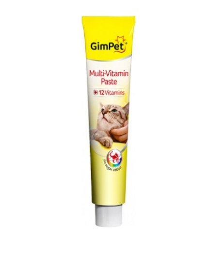 GIMBORN GIMCAT GATTO INTEGRATORE PASTA MULTI VITAMIN 20GR