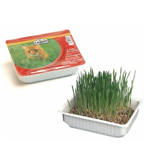 CAMON GATTO ERBA GATTA SEMI D'ORZO CAMON GATTO ERBA GATTA SEMI D'ORZO