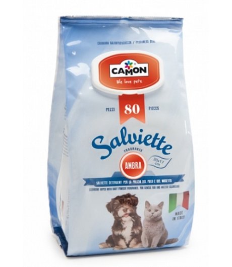 CAMON SALVIETTE DETERGENTI AMBRA 30x17CM 100PZ