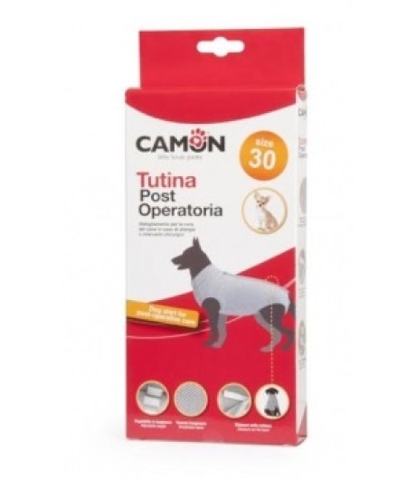 CAMON CANE TUTA POST OPERATORIA 24CM CAD.