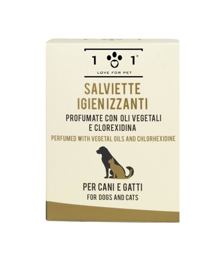 SALVIETTE IGIENIZZ 25PZ 101 LOVE FP