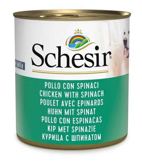 SCHESIR CANE JELLY POLLO SPINACI 285GR (lattina) SCHESIR CANE JELLY POLLO SPINACI 285GR (lattina)
