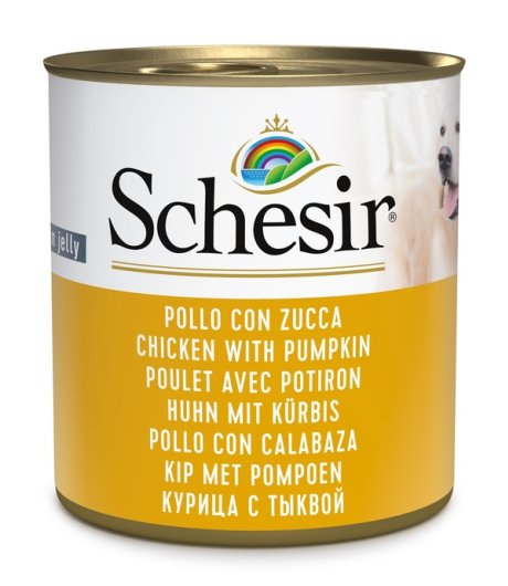 SCHESIR CANE JELLY POLLO ZUCCA 285GR (lattina) SCHESIR CANE JELLY POLLO ZUCCA 285GR (lattina)