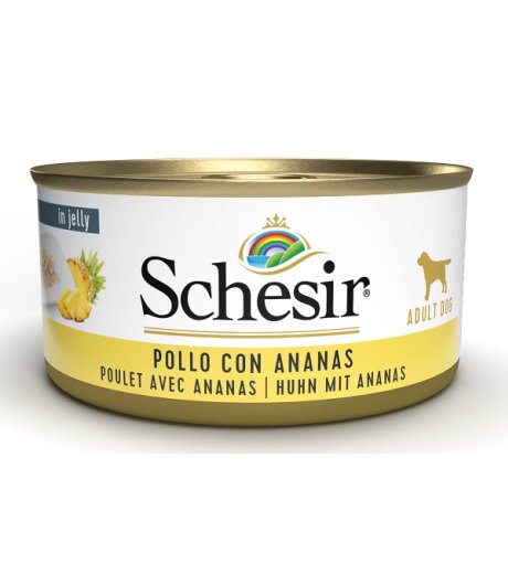 SCHESIR CANE FRUIT POLLO ANANAS 150GR (lattina)