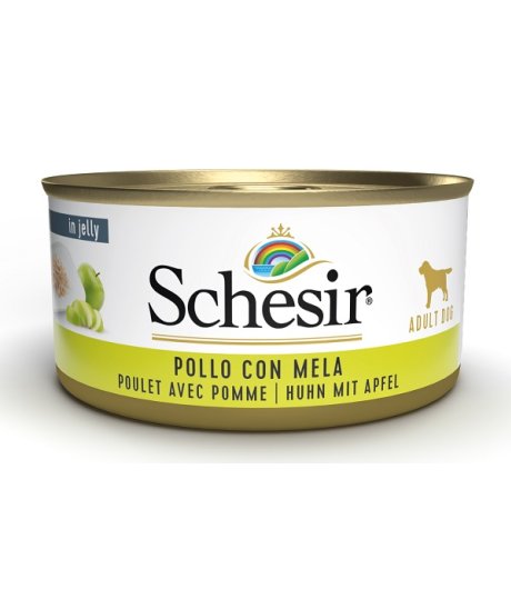 SCHESIR CANE FRUIT POLLO MELA 150GR (lattina)