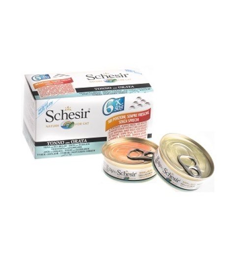 SCHESIR GATTO JELLY TONNO ORATA 6x50GR (lattina) MULTIPACK
