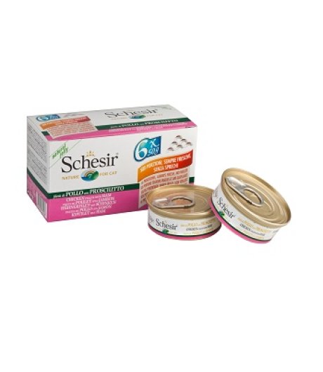 SCHESIR GATTO JELLY POLLO PROSCIUTTO 6x50GR (lattina) MULTIPACK